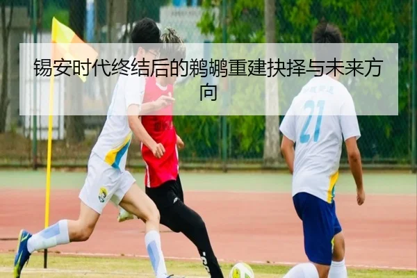 锡安时代终结后的鹈鹕重建抉择与未来方向 | BANDAOSPORTS